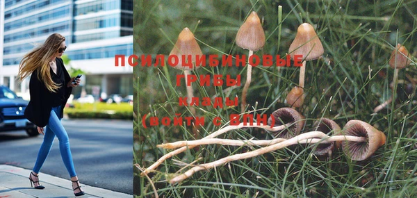 гидропоника Белоозёрский
