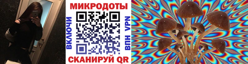 купить   OMG как войти  Галлюциногенные грибы Psilocybine cubensis  Плёс 